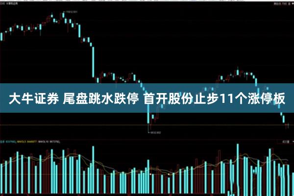 大牛证券 尾盘跳水跌停 首开股份止步11个涨停板