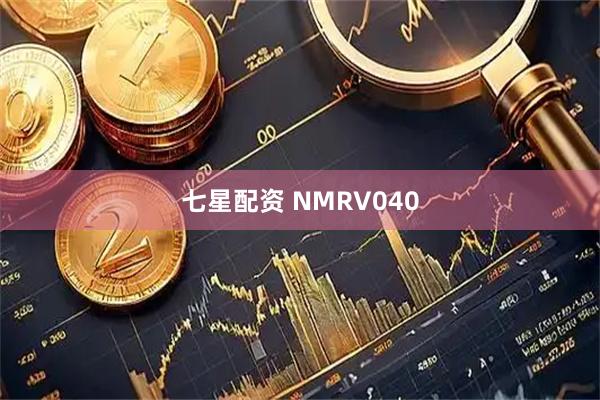 七星配资 NMRV040