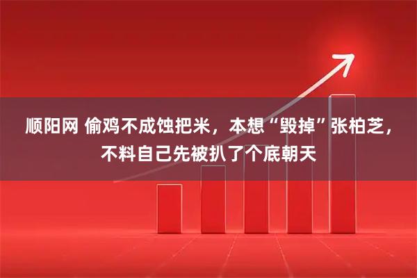 顺阳网 偷鸡不成蚀把米，本想“毁掉”张柏芝，不料自己先被扒了个底朝天