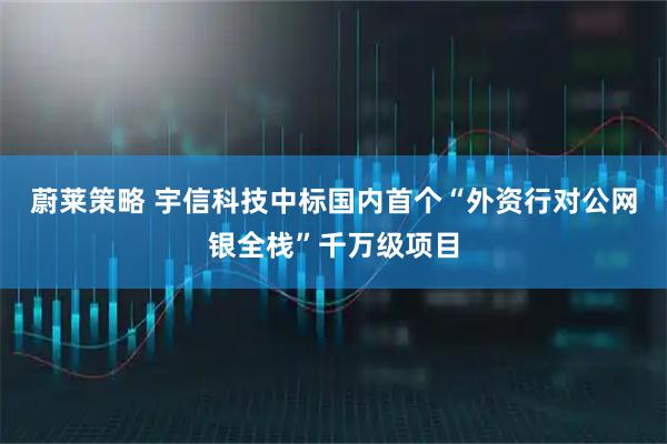 蔚莱策略 宇信科技中标国内首个“外资行对公网银全栈”千万级项目