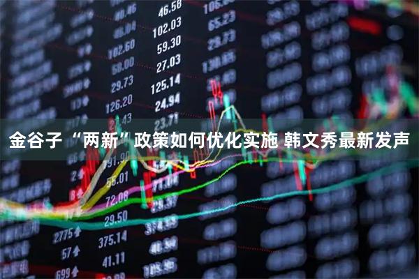金谷子 “两新”政策如何优化实施 韩文秀最新发声