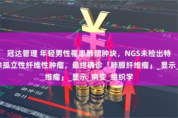 冠达管理 年轻男性罹患肺部肿块，NGS未检出特异性融合排除孤立性纤维性肿瘤，最终确诊「肺腺纤维瘤」_显示_病变_组织学