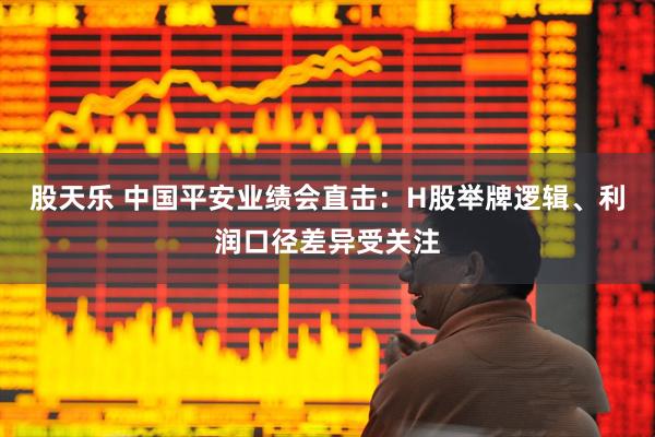 股天乐 中国平安业绩会直击：H股举牌逻辑、利润口径差异受关注
