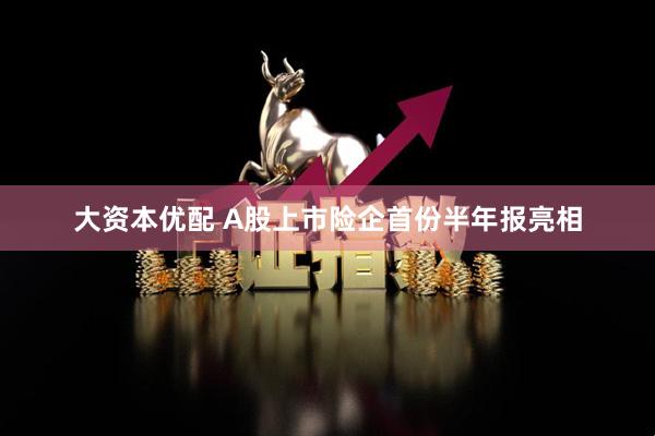 大资本优配 A股上市险企首份半年报亮相